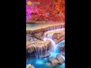 Noizz video 20200113 131340 mp4