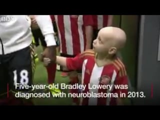 #safc fan bradley lowery, who is terminally ill, receives 28,000 christmas cards