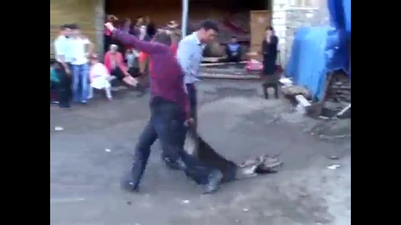 Грамотная вписка