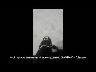 Но прорезиненный намордник gappay chopo