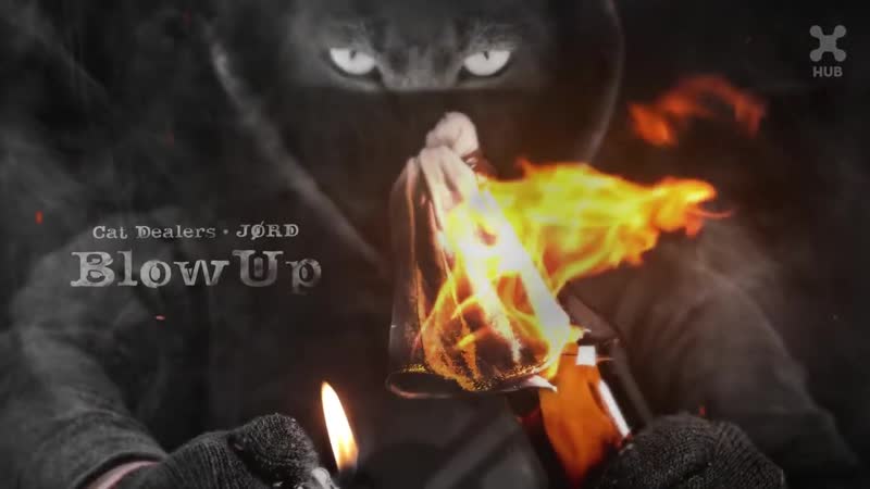 Cat dealers jørd blow up
