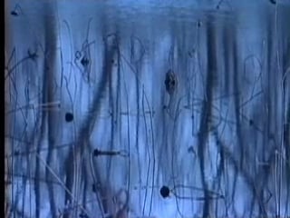 Blueprints on a winter pond