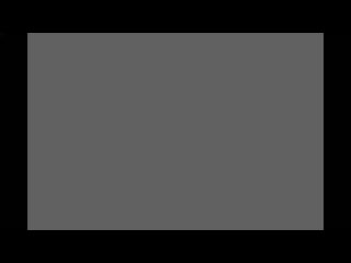 Mosin nagant demonstration 4k mp4