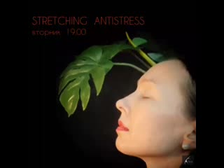 @vipolzova production #stretching antistress #прямойэфир