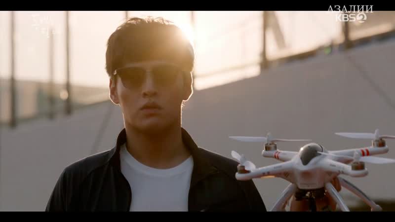 Когда цветет камелия 11/20