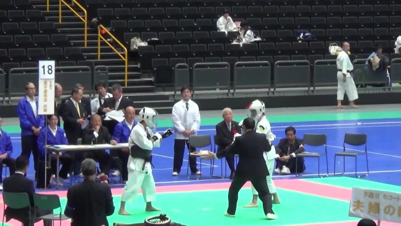 Сёриндзи кэмпо поединки shorinji kempo randori japan 13