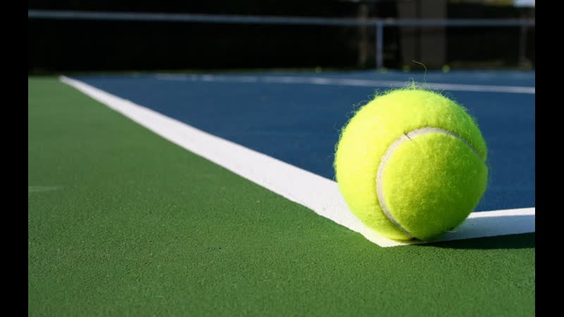 Теннис турниры atp в роттердаме и wta в дохе (1500 медведев, 1700 кудерметова)