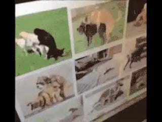 Собачьей порно