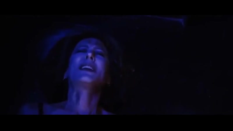 Петуния petunia, 2012