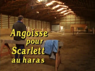 22 angoisse pour scarlett au haras