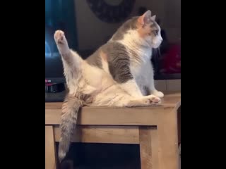 Удобная поза