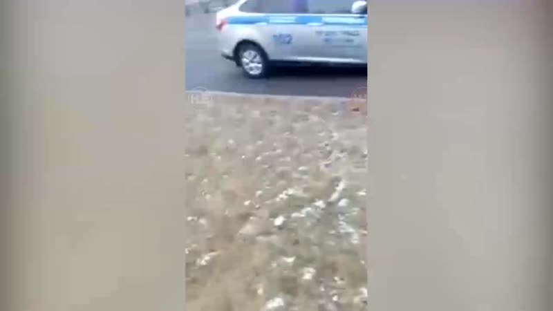 На машину гибдд высыпали грунт