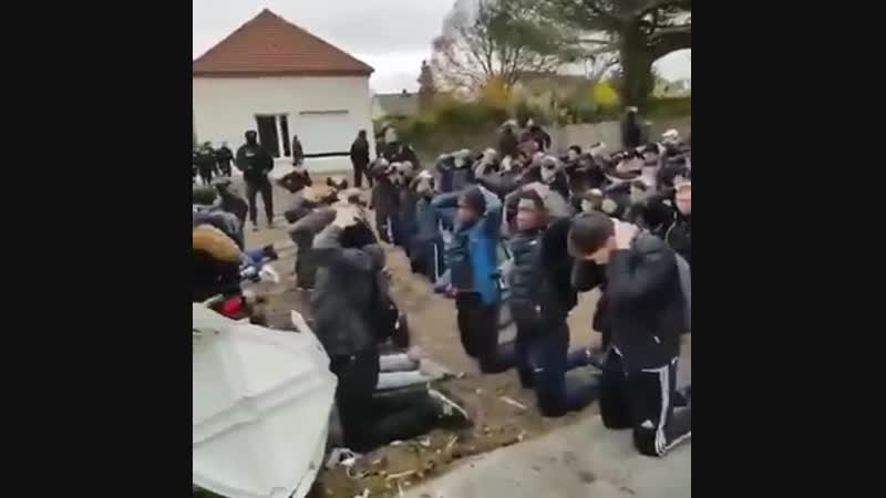 Онижедети! французская полиция прессует учащихся средней школы им сент экзюпе