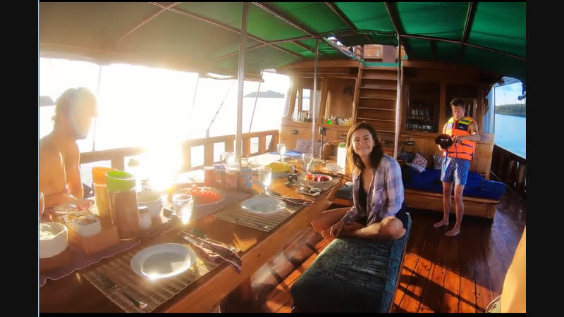 Nina dobrev tiger blue, indonesia