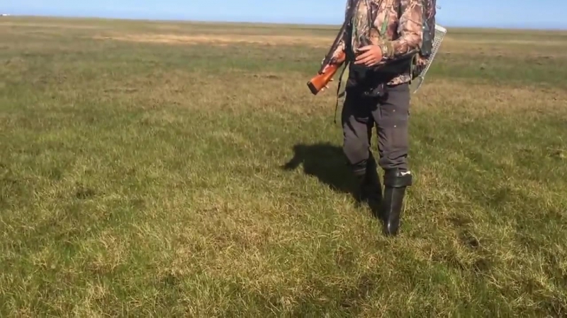 Подземные газовые пузыри на ямале