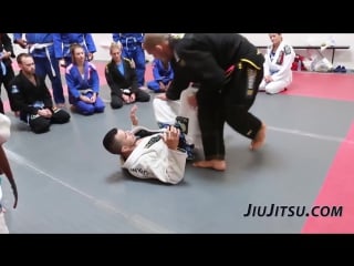 Rodolfo vieira open guard pass