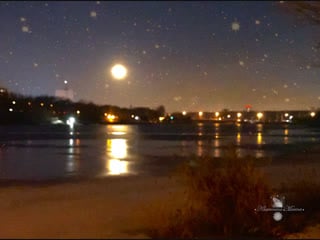 Good night! livefoto fotografer khavronina marina