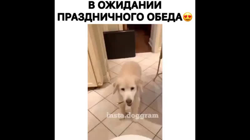 В предушению праздничного обеда
