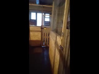 Видео от пღмღщь приюту для молодые и бездомным секс