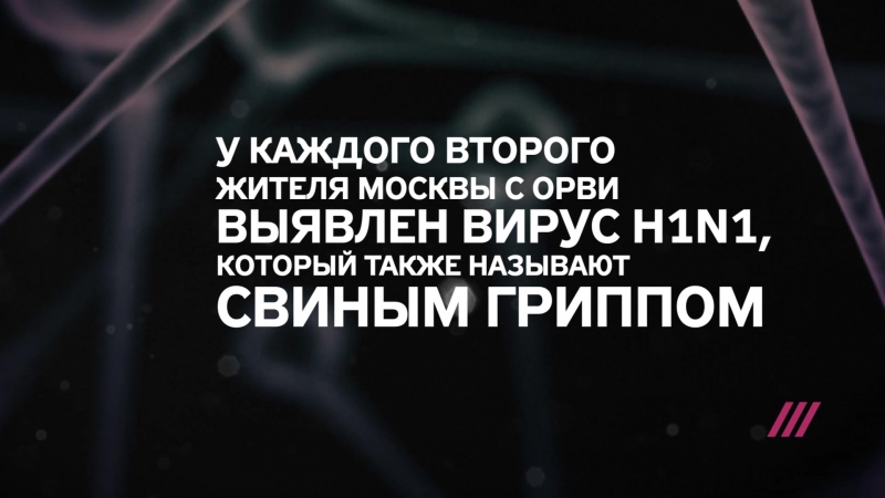 Что такое свиной грипп и его главные симптомы