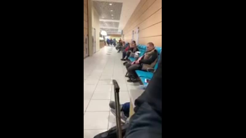 Обмыл аэропорт «домодедово»