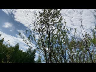 Аркаим ивана купала 06 07 2020 07 07 2020