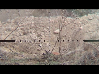 Slow motion pest control de plagas part 1