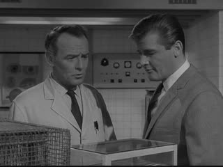 The saint 3 17 the inescapable word