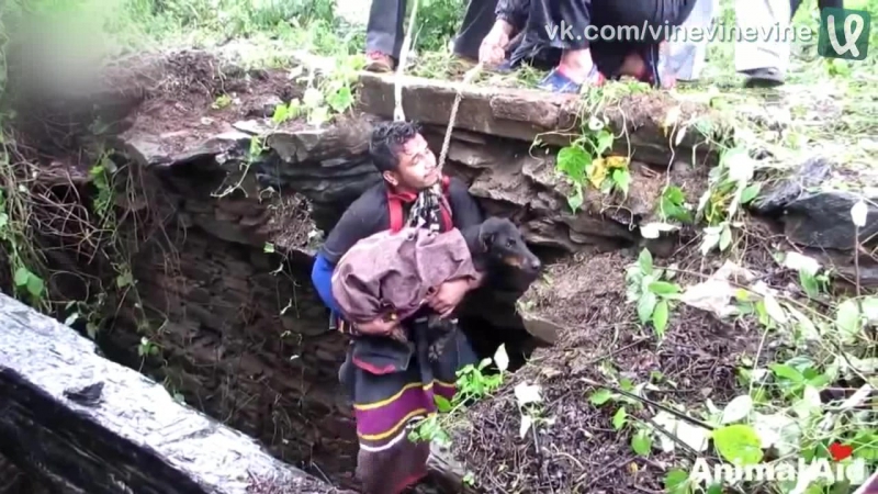 Пёсик заплакал увидев спасателей