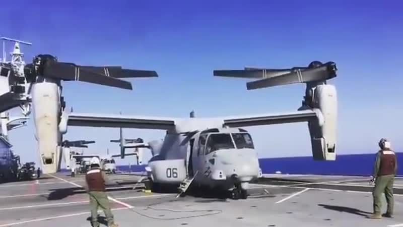 Prepare porn video – Osprey getting prepare for takeoff