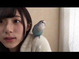 170114 showroom ske48 kks nonogaki miki 1159