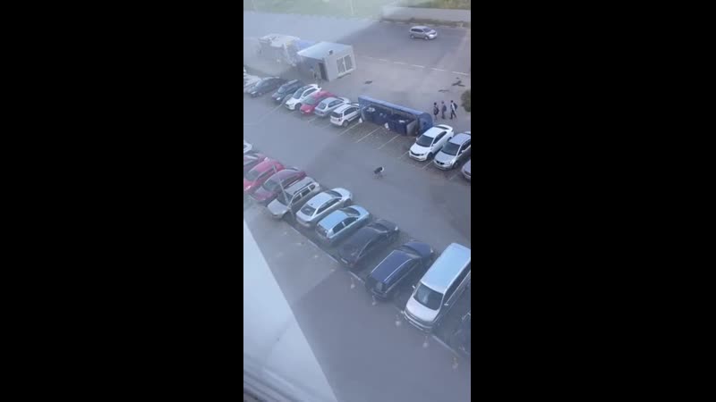 Наверное она его очень сильно достала 😂 пьяная деффка 😉