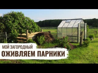 Оживляем парники // мой загородный