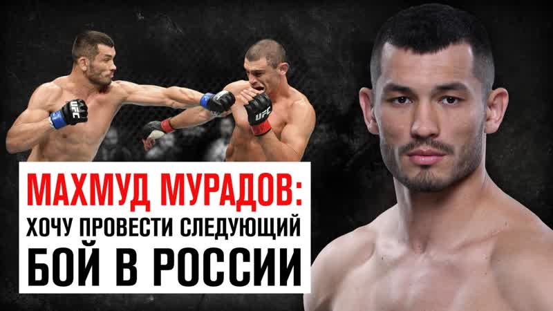 Махмуд мурадов хочу провести следующий бой в россии
