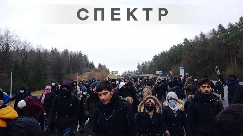 Колонна мигрантов прорвалась из беларуси в польшу
