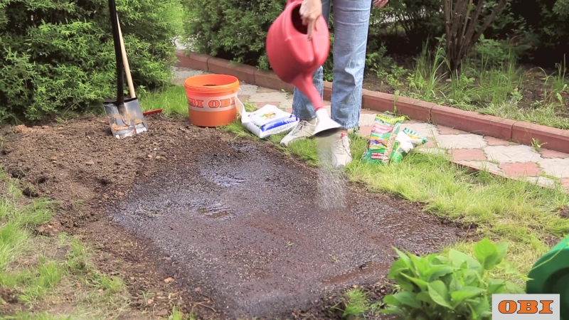 Газон на даче