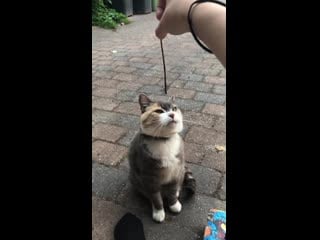 Not so sure what made this particular stick so interesting to her suddenly she’s 18 years old and my best friend