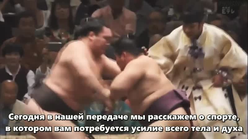 Борьба сумо тренироа и основные упражнения