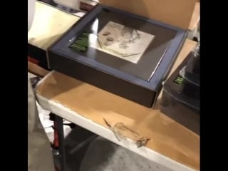 Переиздание and justice for all