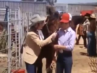 Rodeo girl (1980) katharine ross bo hopkins candy clark jacqueline brookes wilford brimley jackie cooper