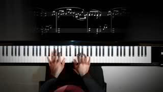 Footprints in the sand