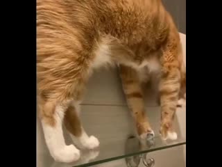 Is functioning normally