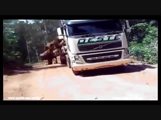 Caminhões ao extremo #67 roadtrains do brasil #2 #gigantes