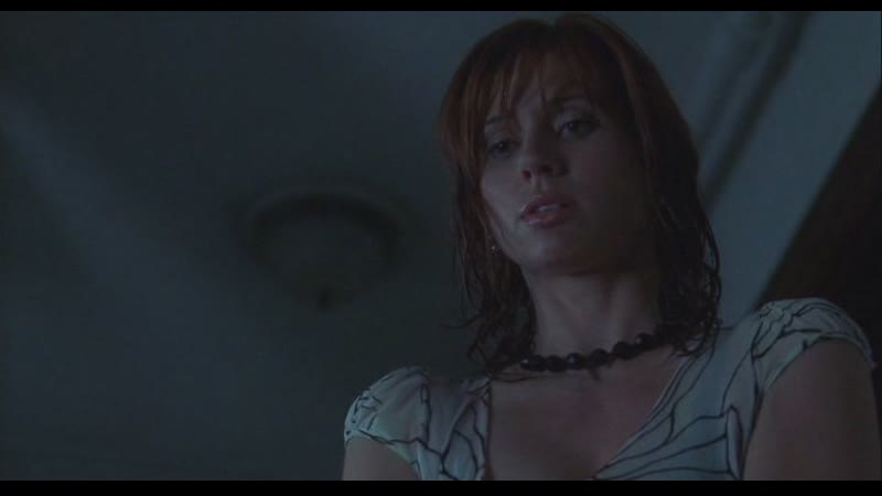 Single porn video – Одинокая белая женщина 2 психоз / single white female 2 the psycho (2005)