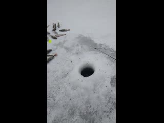 Video 20191201 152118 mp4