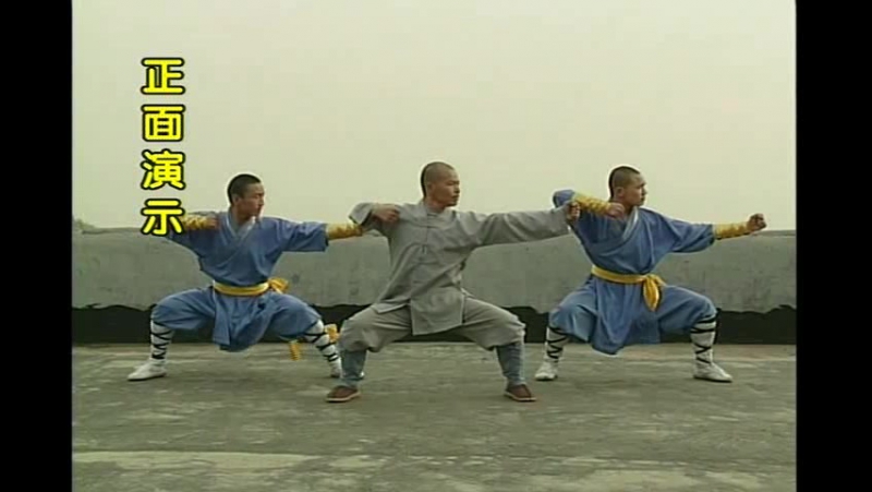 Shaolin tong bei quan (северный шаолинь)