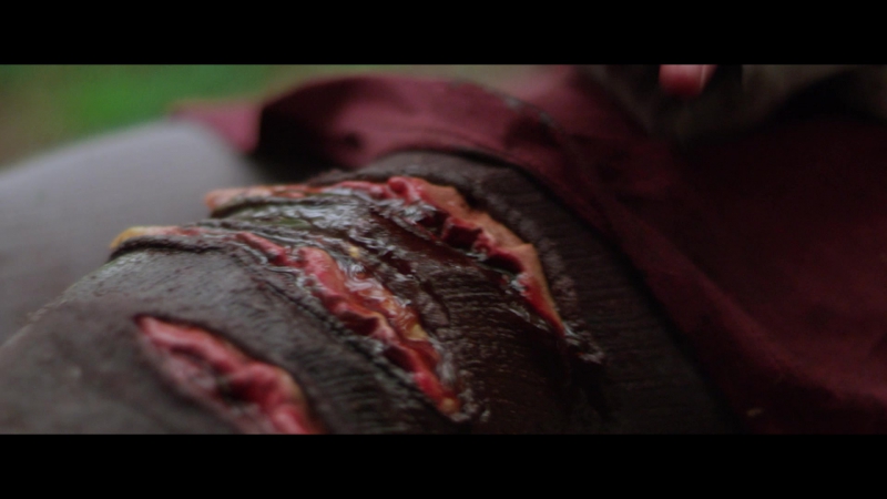 Капкан представляем трейлер фильма