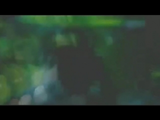 Slashs snakepit shine (music video)