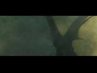 Годзилла 2 король монстров (godzilla king of the monsters)