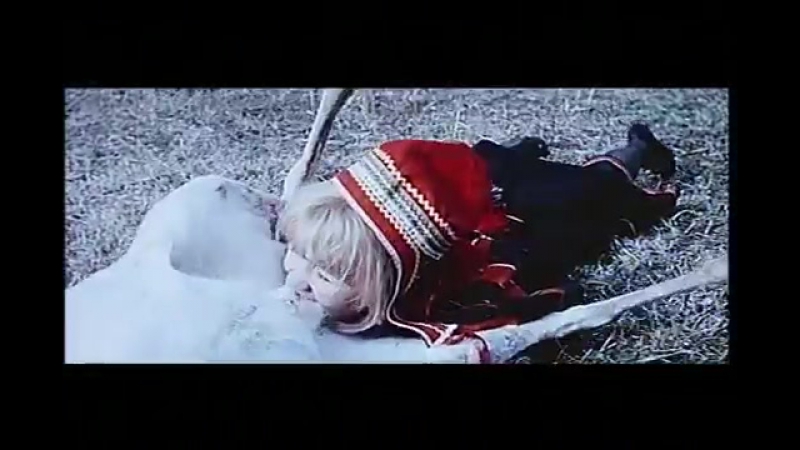 Laplander reindeer castration